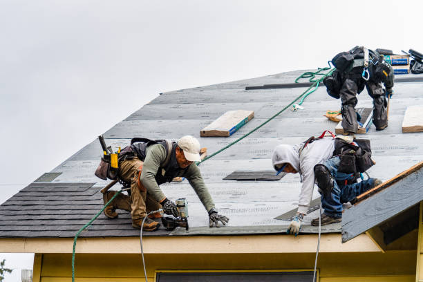 Professional Gutter Installation technician working in Arcola, VA